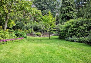 Optimiser l'expérience du jardin à Granges-sur-Baume